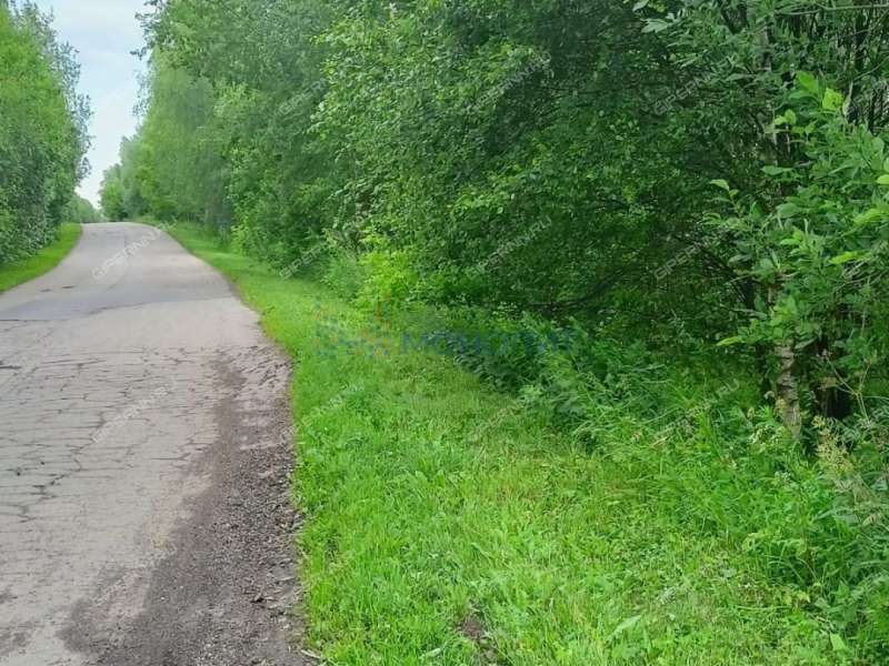 земельный участок 2 656 соток Богородская слобода улица деревня Демидово